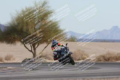 media/Nov-30-2025-TrackXperience (Sun) [[c0061d280f]]/2-Level 2/Session 6 Turn 4 Tree of Life/